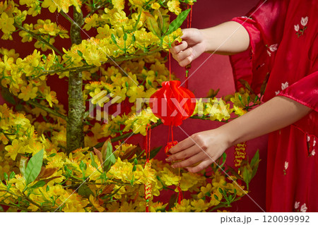 A female model wearing the red costume is hanging lucky strings, and a red lantern on a yellow apricot flower pot. Tet decoration on the red background. A Tet traditional-themed image template. A female model wearing the red costume is hanging lucky strings, and a red lantern on a yellow apricot flower pot. Tet decoration on the red background. A Tet traditional-themed image template. 120099992