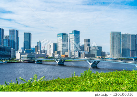 【東京都】豊洲から見た豊洲大橋とビル群 120100316
