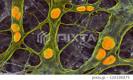 Exploring the Microcosm, Cell Biology and Microbiology as Pillars of Biotechnological Advancements 120100875