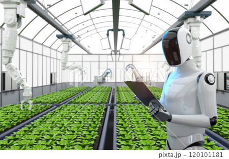 Agriculture technology with automation cyborg and robotic arm work in greenhouse 120101181