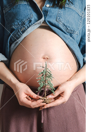 Pregnant woman holding a small Christmas tree on her belly. 120101835