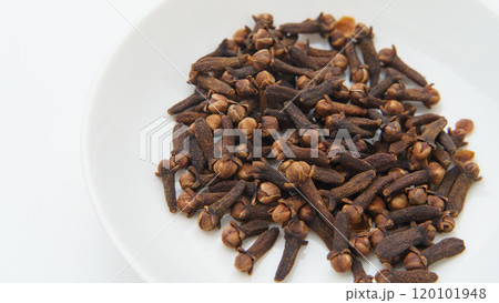 クローブ(チョウジ・丁字) クローブ(チョウジ・丁字) 120101948