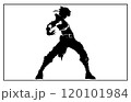 Stylish silhouettes of cosplay, illustration cosplay Stylish silhouettes of cosplay, illustration cosplay 120101984