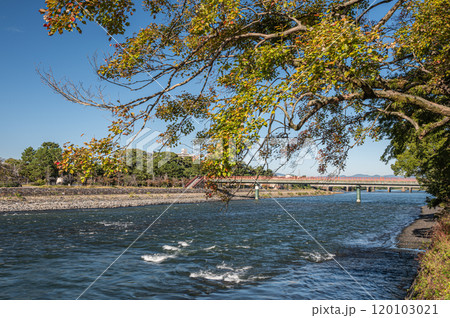 秋の宇治川風景　京都府宇治市 120103021