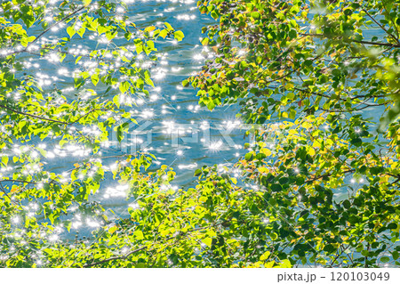 天ケ瀬ダムの湖　キラキラ輝く鳳凰湖　京都府宇治市 120103049