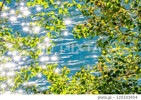 天ケ瀬ダムの湖 キラキラ輝く鳳凰湖 京都府宇治市 天ケ瀬ダムの湖 キラキラ輝く鳳凰湖 京都府宇治市 120103054