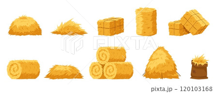 Cartoon hay bales. Agriculture haystacks, blocks, rolls and piles, yellow straw, farm haymow, livestock feed dry grass, wheat stalks, countryside natural landscape element, nowaday vector set Cartoon hay bales. Agriculture haystacks, blocks, rolls and piles, yellow straw, farm haymow, livestock feed dry grass, wheat stalks, countryside natural landscape element, nowaday vector set 120103168