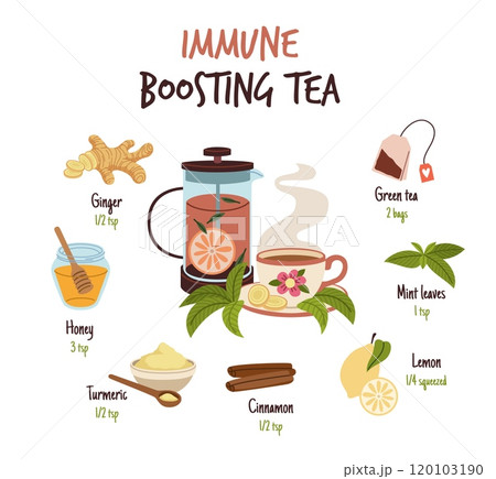 Ginger drink recipe. Immune boosting green tea ingredients, healthy spicy root, cinnamon, honey, lemon and water, beverage with aromatic culinary condiment, traditional medicine, tidy vector concept 120103190