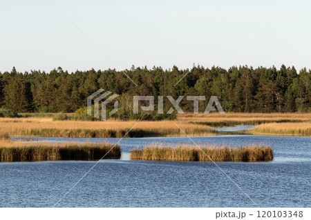 Storsund, nature reserve on eastern Gotland, Sweden. Storsund, nature reserve on eastern Gotland, Sweden. 120103348