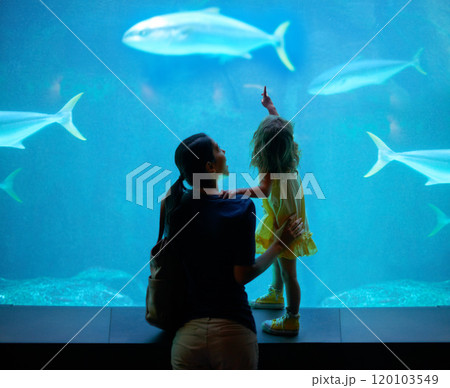 Shes focused on those fish. Cropped shot of a little girl on an outing to the aquarium. 120103549