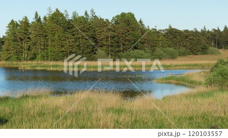 Storsund, nature reserve on eastern Gotland, Sweden. 120103557