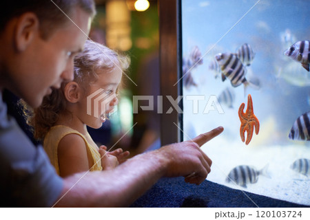 Shes focused on those fish. Cropped shot of a little girl on an outing to the aquarium. 120103724