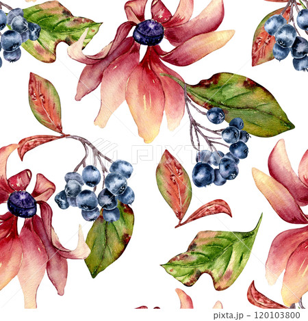 Pink coneflower and black chokeberry colorful watercolor seamless pattern isolated. Colorful autumn leaves, blue berries and pink flowers hand drawn botanical background for textile, wrapping paper. 120103800