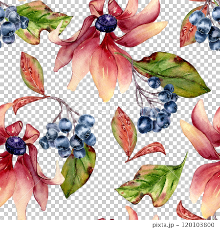 Pink coneflower and black chokeberry colorful watercolor seamless pattern isolated. Colorful autumn leaves, blue berries and pink flowers hand drawn botanical background for textile, wrapping paper. 120103800