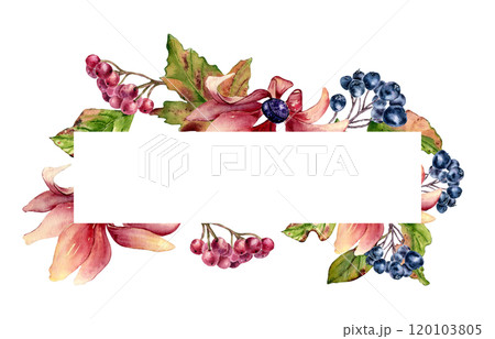 Autumn floral border in pink green watercolor colors isolated. Coneflowers with berries, maple leaves on horizontal frame hand drawn. Colorful daisy and rowan botanical sketch. Fall blooms for design. 120103805