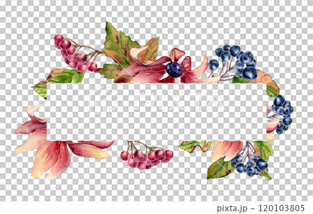 Autumn floral border in pink green watercolor colors isolated. Coneflowers with berries, maple leaves on horizontal frame hand drawn. Colorful daisy and rowan botanical sketch. Fall blooms for design. 120103805