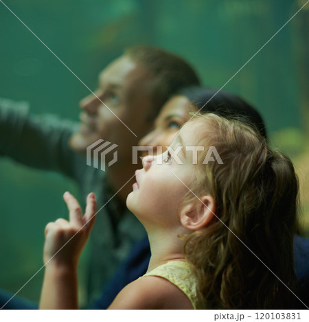 So much to see. Shot of a family of three on an outing to the aquarium. 120103831