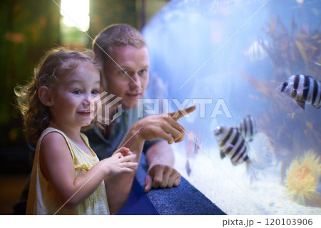 Shes focused on those fish. Cropped shot of a little girl on an outing to the aquarium. Shes focused on those fish. Cropped shot of a little girl on an outing to the aquarium. 120103906