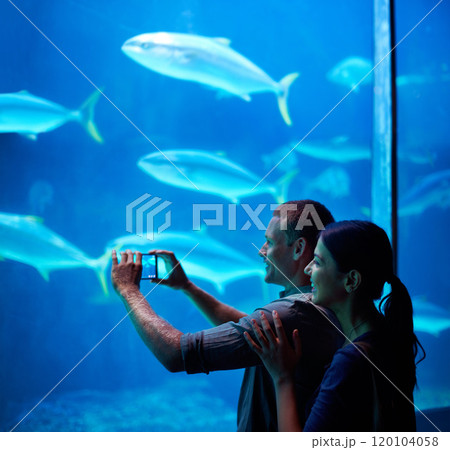 Capturing marine memories. Shot of a young couple taking a snapshot of the fish in an aquarium. Capturing marine memories. Shot of a young couple taking a snapshot of the fish in an aquarium. 120104058