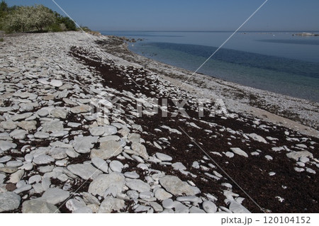 Stony beach by the Baltic sea, at Stora Karlso, Gotland, Sweden. Stony beach by the Baltic sea, at Stora Karlso, Gotland, Sweden. 120104152