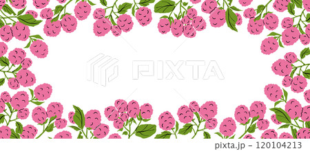 Raspberry Frame Cartoon Colored Vector Illustration 120104213