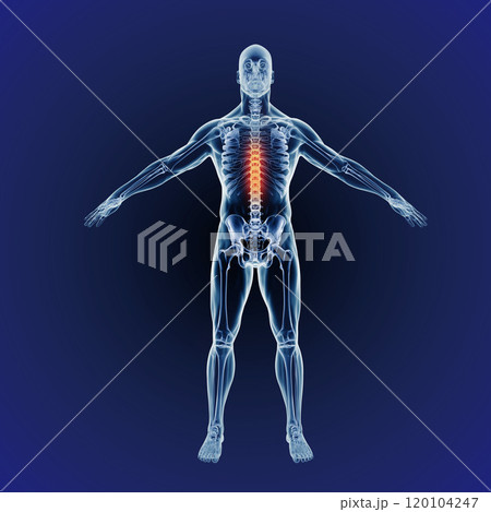 When inflammation strikes. A full length cgi representation of the human body indicating the skeletal structure. 120104247