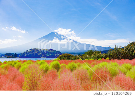 富士山とコキアのある風景 120104269