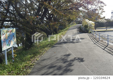 日本の福島の名所 藤田川ふれあい桜 秋の風景 日本の福島の名所 藤田川ふれあい桜 秋の風景 120104624