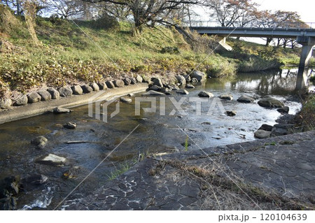 日本の福島の名所 藤田川ふれあい桜 秋の風景 日本の福島の名所 藤田川ふれあい桜 秋の風景 120104639