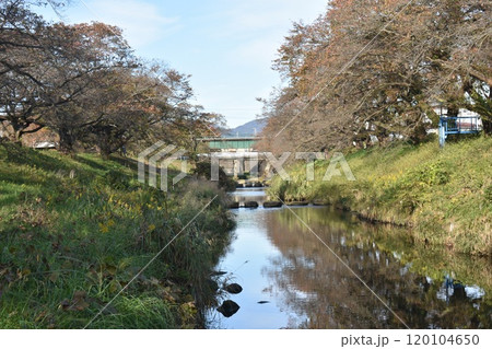 日本の福島の名所 藤田川ふれあい桜 秋の風景 日本の福島の名所 藤田川ふれあい桜 秋の風景 120104650