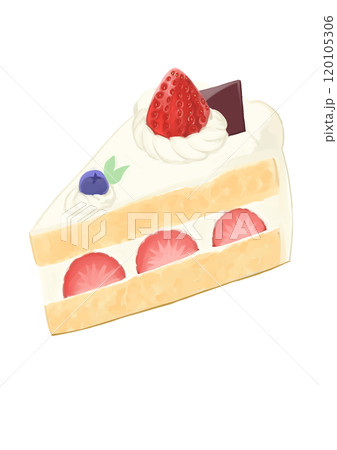 ショートケーキ 120105306