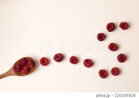 Close up of a spoon with raspberries on white background 120105820