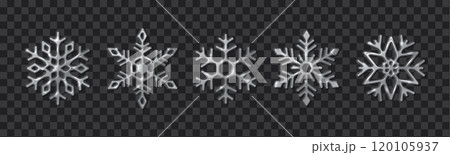 Metallic silver snowflakes shining realistic color icons set 120105937