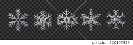 Symmetrical silver snowflakes realistic color icons set 120105938