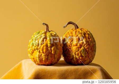 Pumpkin on a yellow background , creative concept . View with copy space Pumpkin on a yellow background , creative concept . View with copy space 120105956