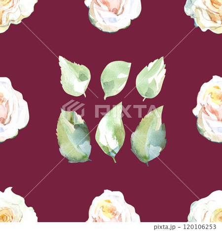 Seamless pattern of white roses with green leaves in collection garden flowers. Watercolor illustration for floral design of fabrics, kitchen towel, textiles, weaving, wallpaper, wrapping paper. Hand 120106253