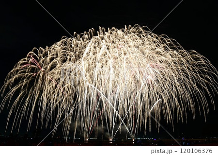 ラグーナビーチの花火甲子園 ラグーナビーチの花火甲子園 120106376