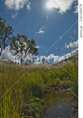 関西有数のススキの群生地 砥峰高原 関西有数のススキの群生地 砥峰高原 120106679