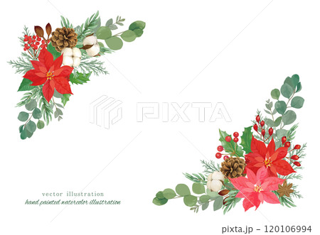 ポインセチアと針葉樹のクリスマスのベクターイラスト ポインセチアと針葉樹のクリスマスのベクターイラスト 120106994