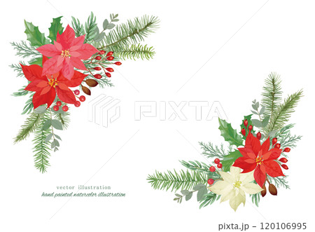 ポインセチアと針葉樹のクリスマスのベクターイラスト 120106995