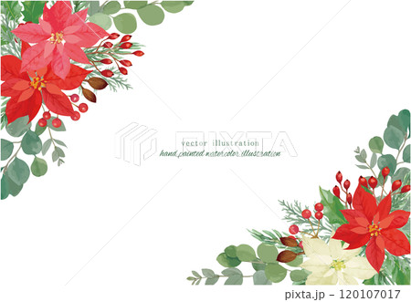 ポインセチアと針葉樹のクリスマスのベクターイラスト 120107017