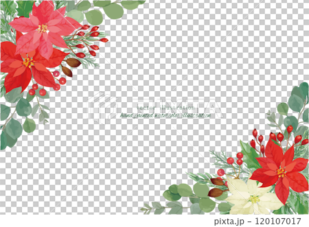ポインセチアと針葉樹のクリスマスのベクターイラスト 120107017