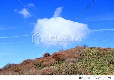 大川嶺　秋の空に浮かぶ雲　（愛媛県　四国カルスト） 120107276