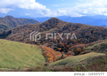 大川嶺　秋の紅葉を楽しむ　（愛媛県　四国カルスト） 120107277