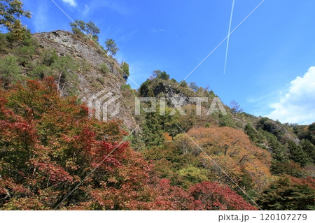 古岩屋 紅葉狩りを楽しむ (愛媛県 久万高原町) 古岩屋 紅葉狩りを楽しむ (愛媛県 久万高原町) 120107279