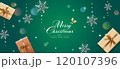 クリスマスプレゼントと雪の結晶　ベクター素材 120107396