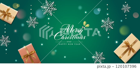 クリスマスプレゼントと雪の結晶　ベクター素材 120107396