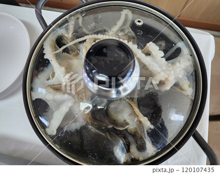 korea seafood. webfoot octopus, short arm octopus 120107435