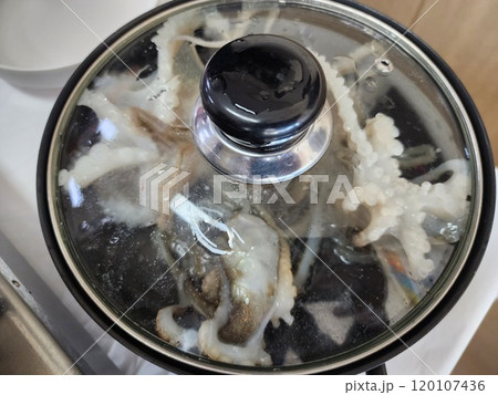 korea seafood. webfoot octopus, short arm octopus korea seafood. webfoot octopus, short arm octopus 120107436