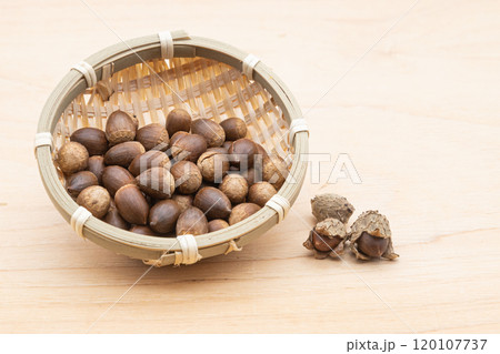 ザルに入ったしいの実の素材写真  アクが少なく食べられる木の実 ザルに入ったしいの実の素材写真  アクが少なく食べられる木の実 120107737